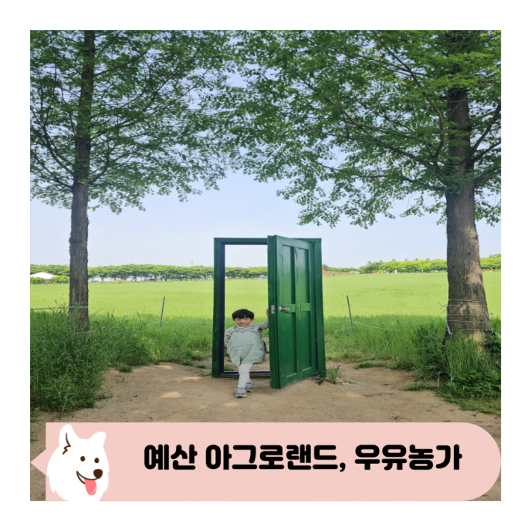  아이와 아그로랜드 태신목장과 신상카페 우유농가 산책코스 추천