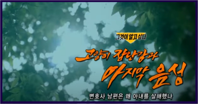 현우영 변호사 아내 사망 당시 녹음 중 국회의원 현경대 아들 무기징혁 구형 선고 : 네이버 블로그