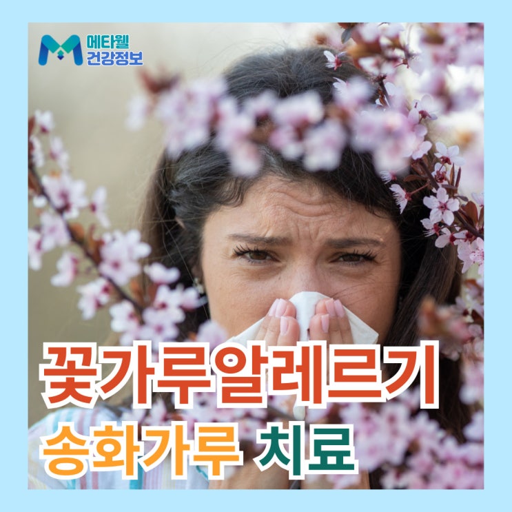  봄철 꽃가루 알레르기 송화가루 눈 가려움 증상, 요즘 환기해도 되나요?