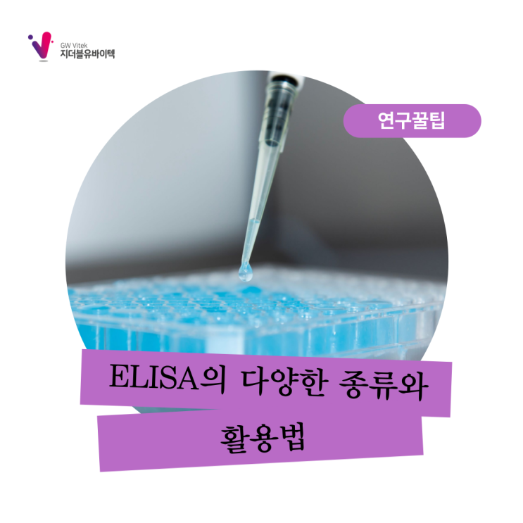  ELISA의 다양한 종류와 활용법