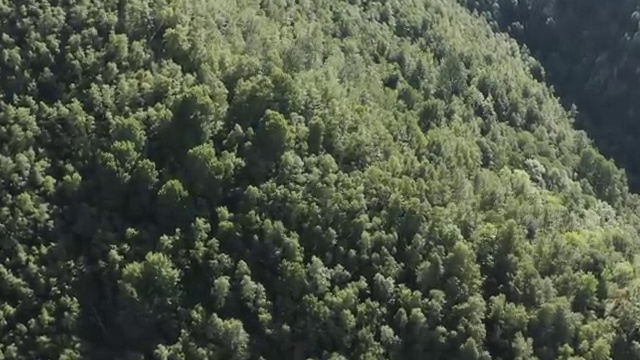  사회복지사 중년 직장인도 학점은행제로 손쉽게