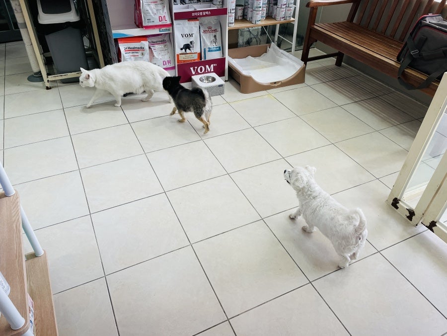 뮤동물병원 사진 3