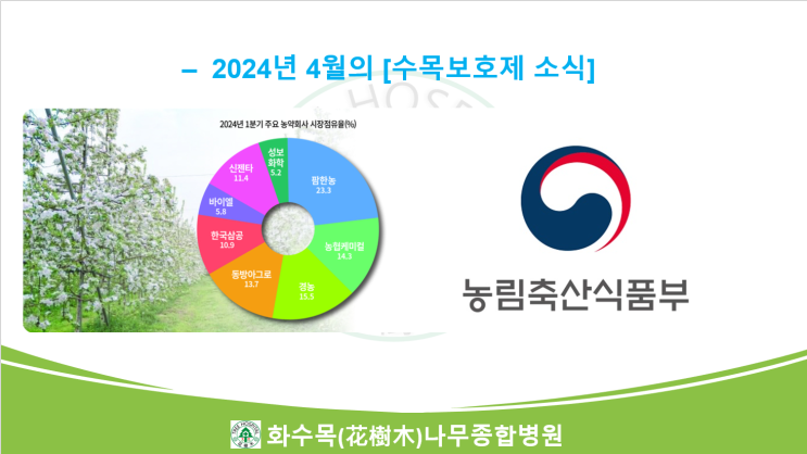  2024년 4월의 수목보호제 뉴스 모음