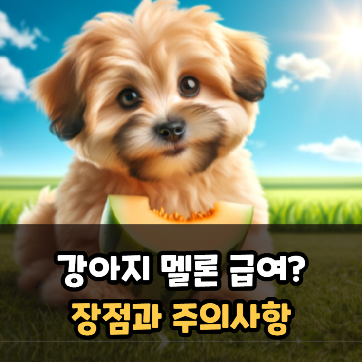  강아지 멜론 먹어도 되나요? 메론 급여 장점, 주의사항