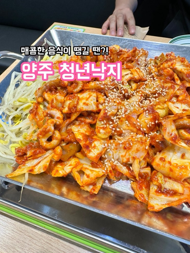  양주 청년낙지_매콤한 음식이 땡길 때는 낙지볶음