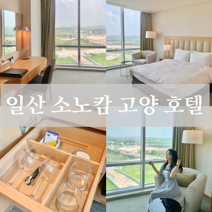  일산 킨텍스 호텔 소노캄 고양 슈페리어 더블 객실 수영장 사우나 헬스장 후기
