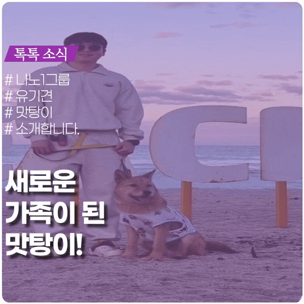 유기견 강아지 입양, 맛탕이를 소개합니다 유기견 강아지 입양, 맛탕이를 소개합니다