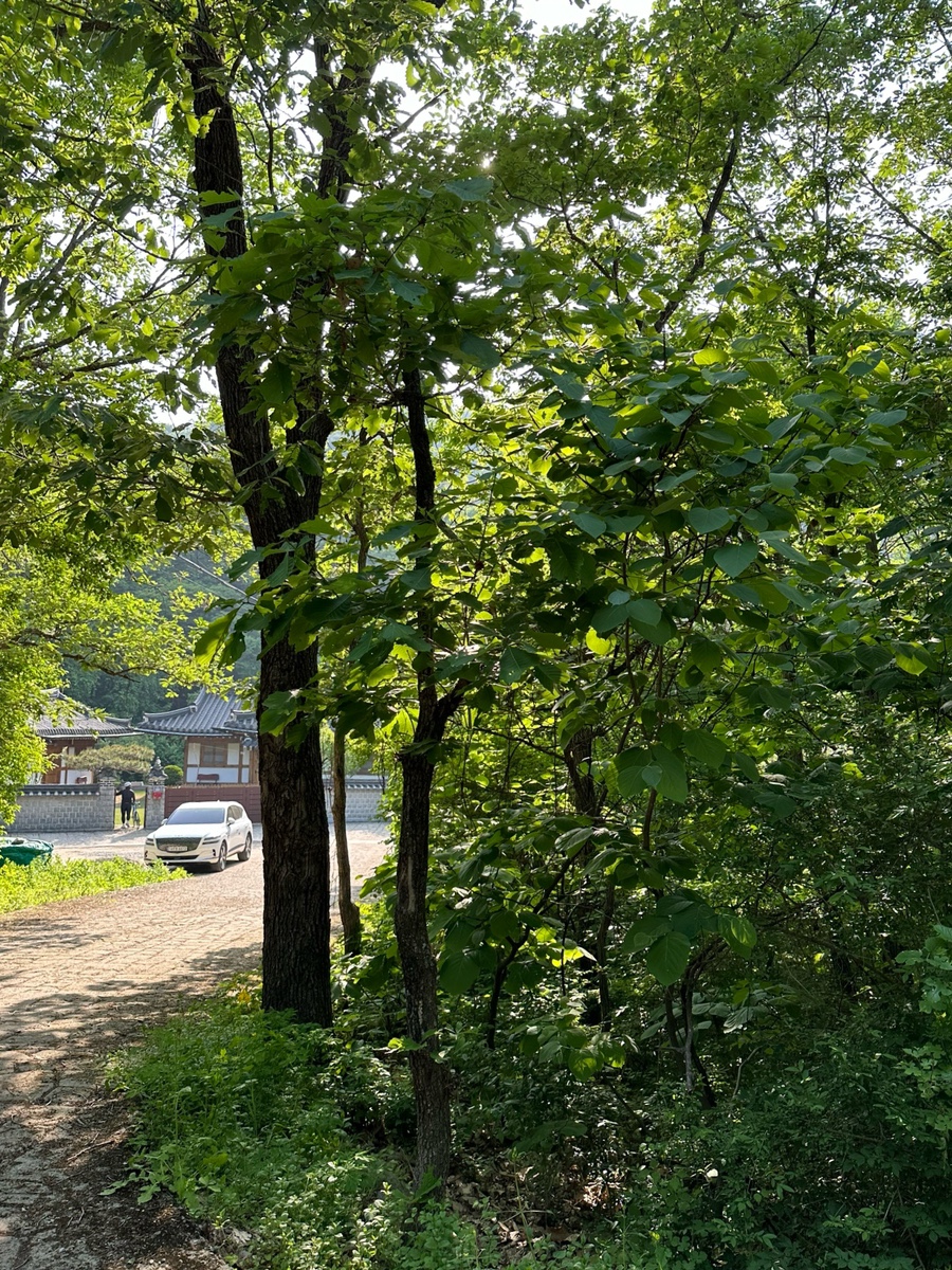 한옥연가펜션 사진 4