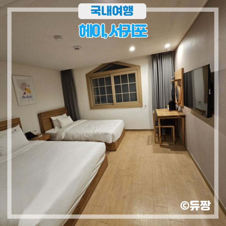 제주 서귀포 가성비 호텔 헤이 서귀포, 애견동반 호텔