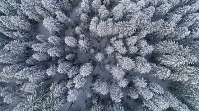  , 보육교사 고졸자도 쉽게 끝냈던 팁