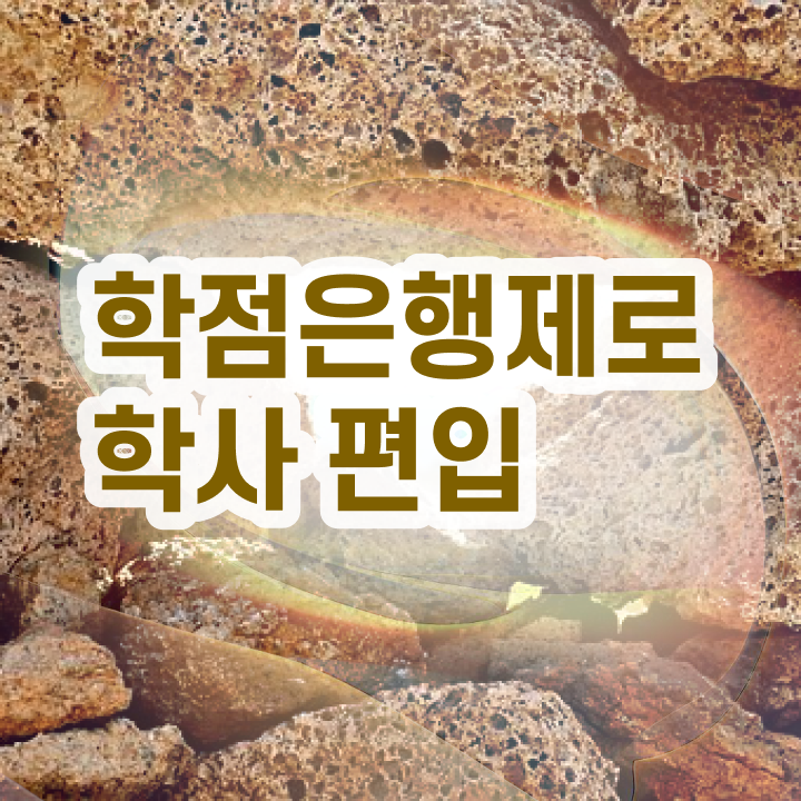  학점은행재 4년제기간 여기서 확인하세요