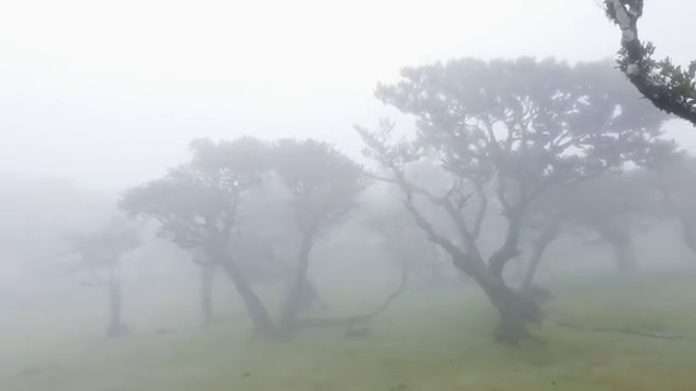  , 직장과 병행하며 편하게 끝냈던 팁