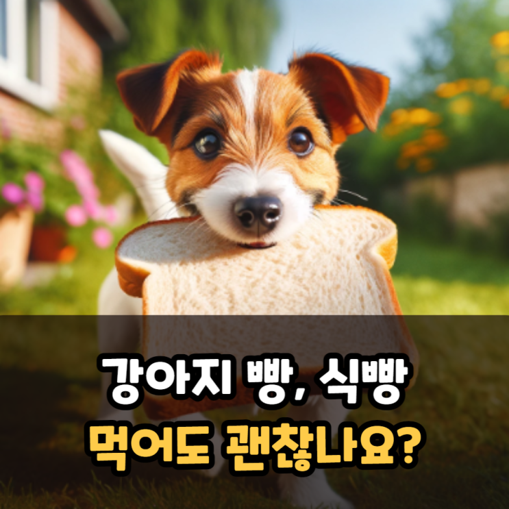  강아지 식빵 먹어도 괜찮나요?