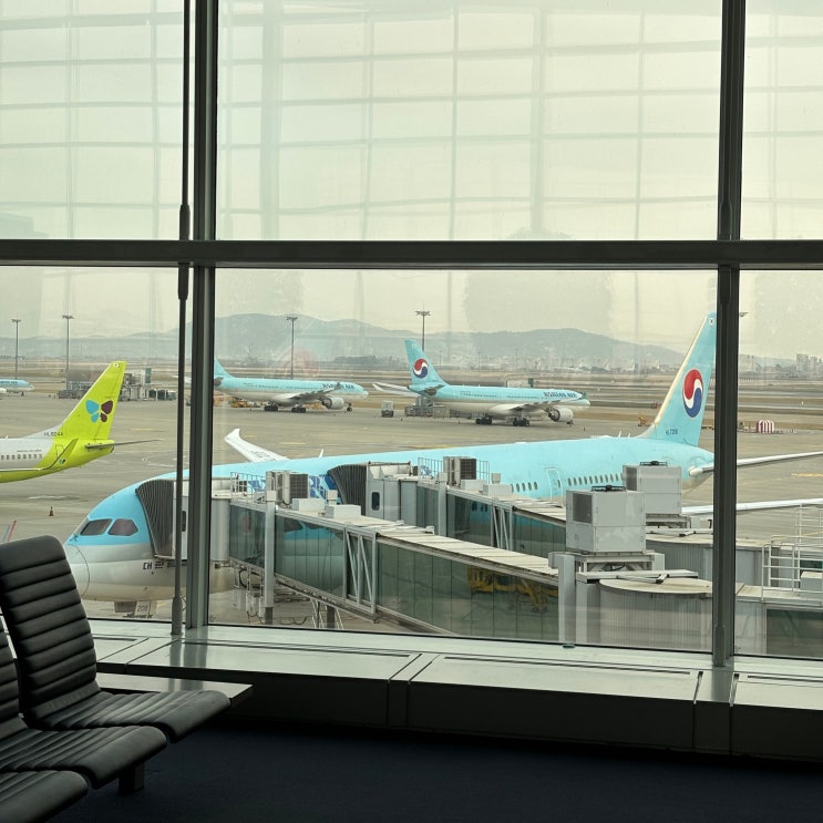  대한항공 프라하 직항 이코노미 KE969 탑승 후기 | 수하물 체크인 기내식 슬리퍼 이어폰
