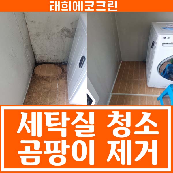 전주청소업체-세탁실 부분청소,곰팡이 제거