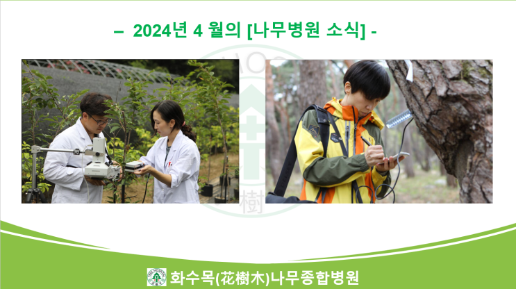  2024년 4월의 나무병원 뉴스 모음