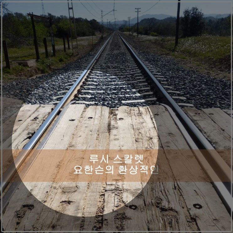 루시 <b>스칼렛 요한슨</b>의 환상적인 액션 연기로 가득한