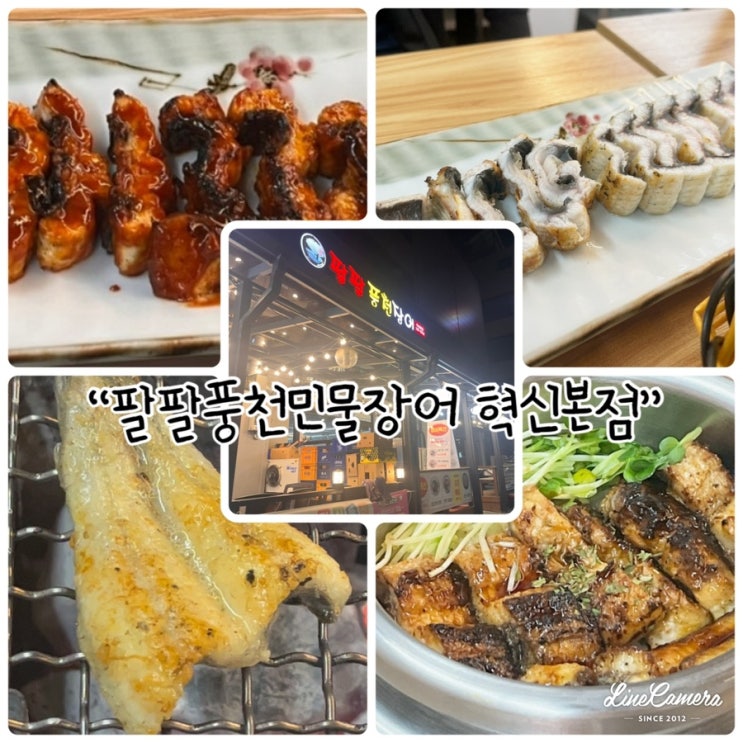  장어를 숯불에 초벌에 주는 원주 보양음식 추천!  “팔팔풍천민물장어 혁신본점”