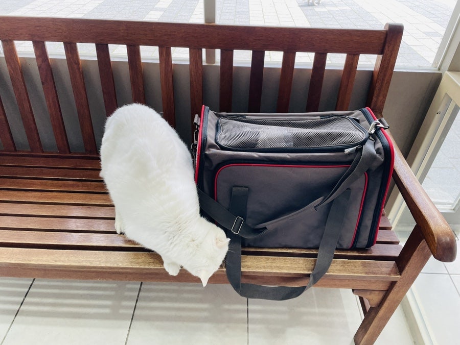 뮤동물병원 사진 2