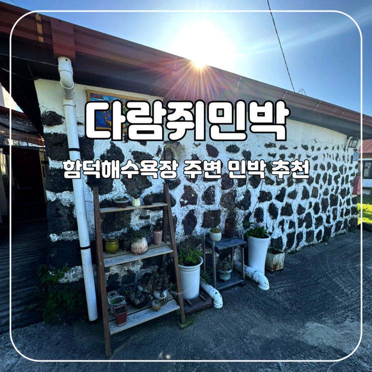  제주도 함덕해수욕장 근처 숙소 다람쥐민박 묵은 후기
