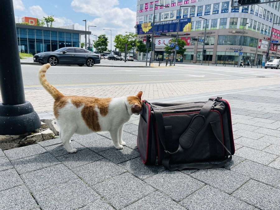 뮤동물병원 사진 4