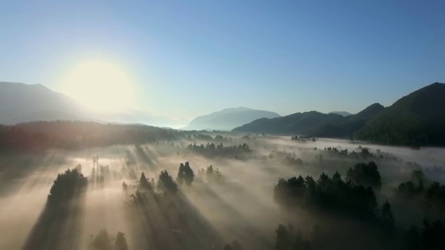  공무원사회복지사이버교육 ~ 사회복지사 고졸도 온라인으로 손쉽게