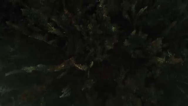  사회복지사 직장인도 인강으로 쉽고 빠르게