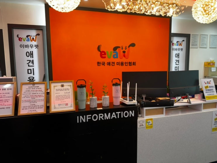  김포, 일산애견미용학원 이바우펫 애견미용사자격증 취득 비용