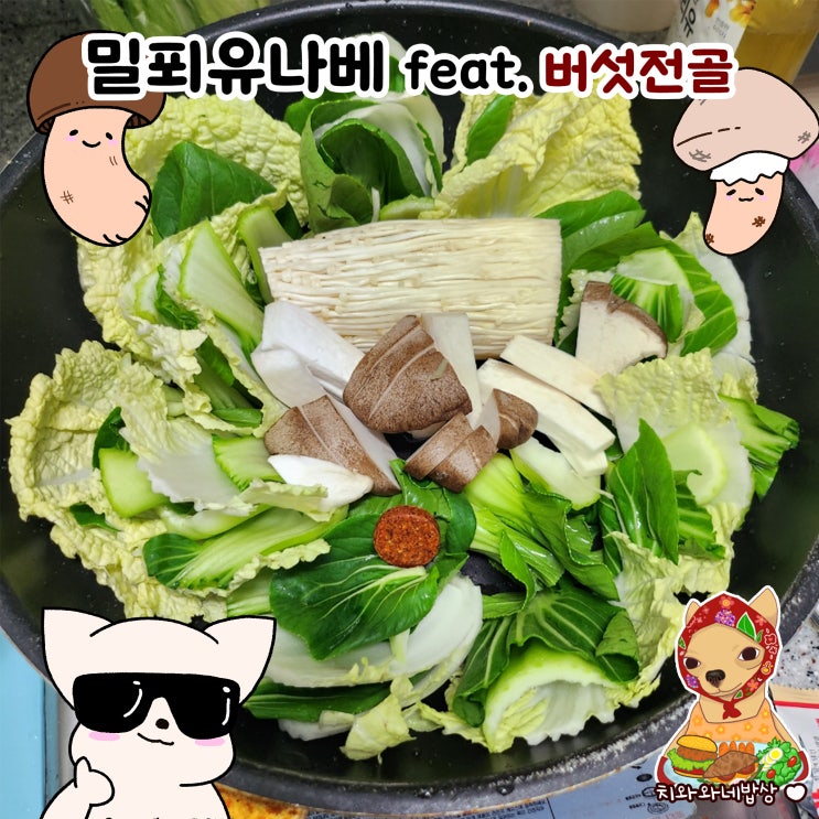  동전육수로 밀푀유나베 버섯전골 매운찌개버전 만들기 레시피 요리여왕