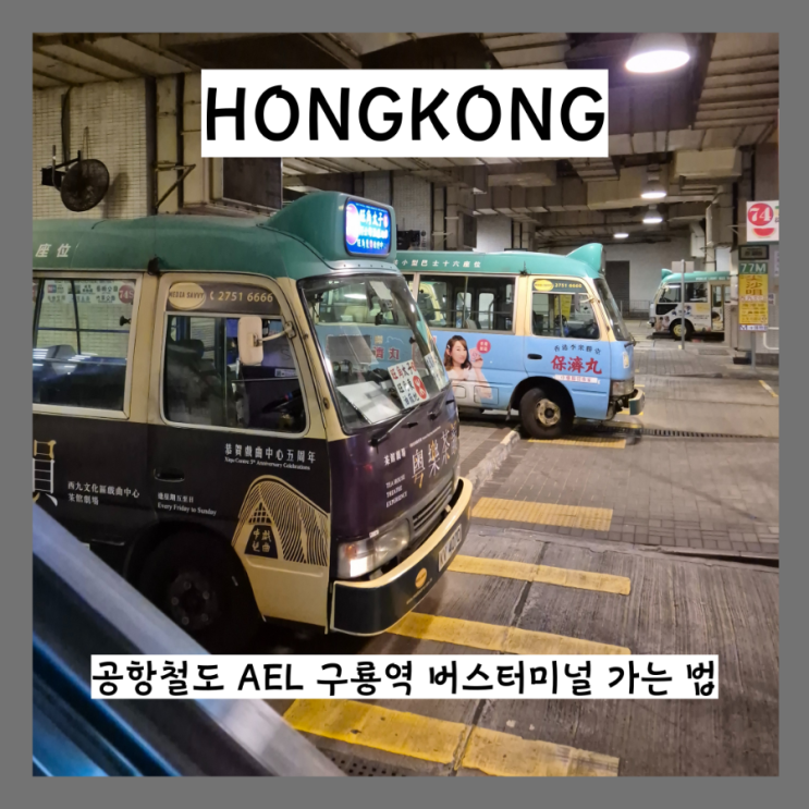  홍콩 구룡역 시내버스 버스 터미널 가는 법 Kowloon 이층버스 미니버스 타기