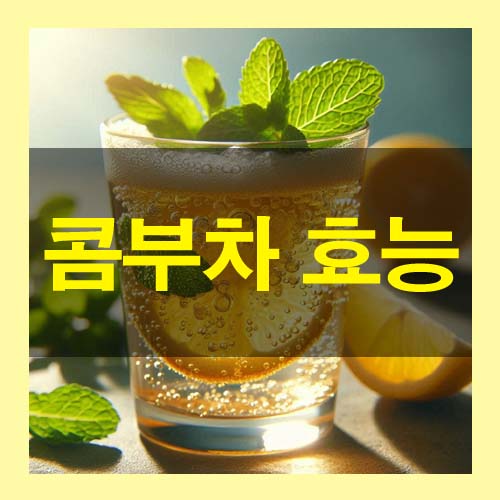  콤부차 뜻 성분 효능 부작용 먹는 방법