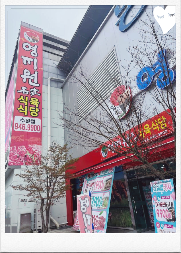  수완지구 소고기 저렴한 비용 추천 영지원명가 수완점 수완맛집