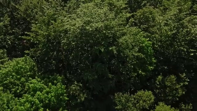  대전 경매학원 , 부동산권리분석사 비전공 직장인도 최단기간 준비했던 전략