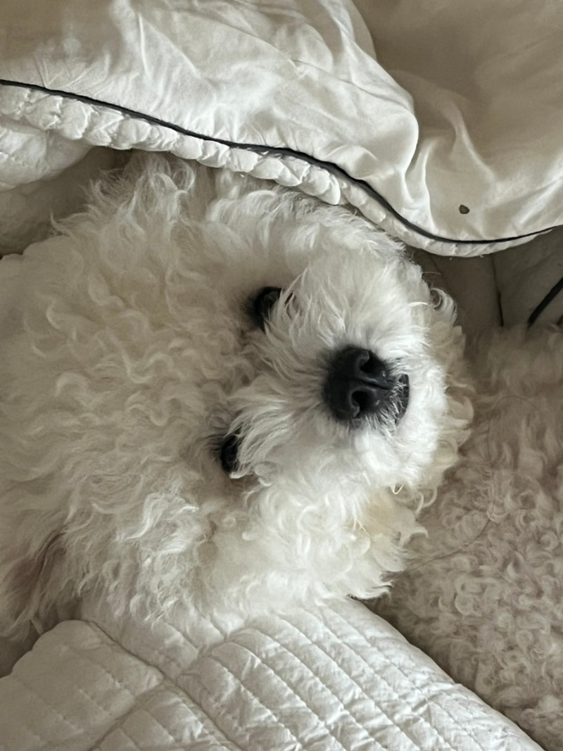 사진 7