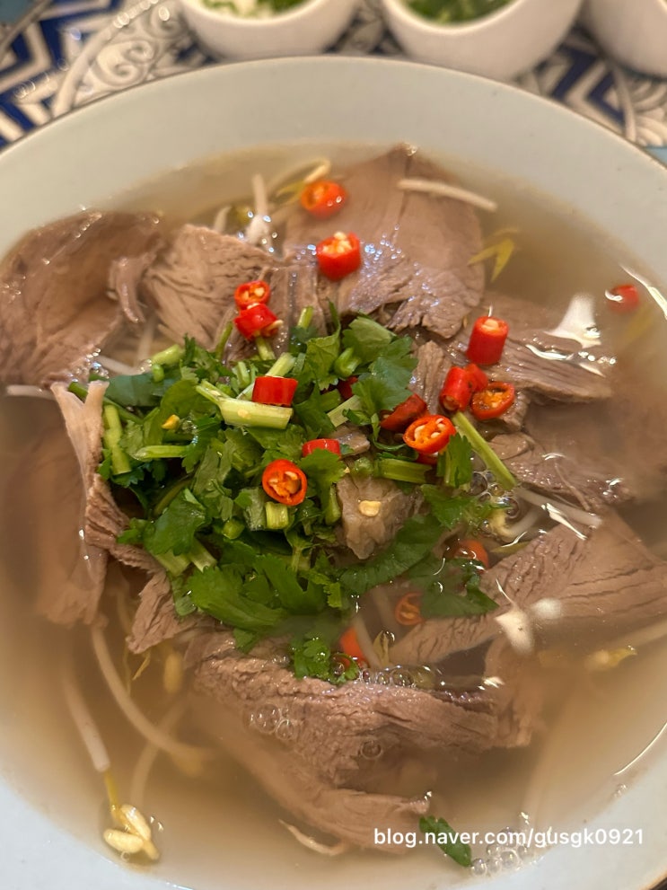  피렌체 쌀국수맛집 Pho FI  중식당 방문 후기