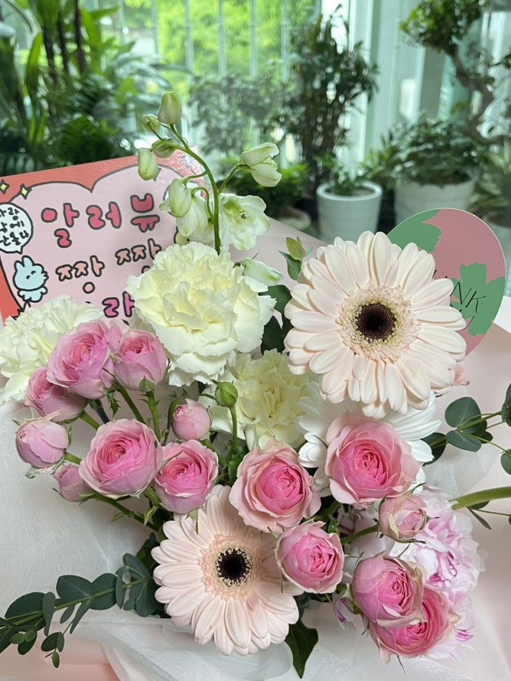  사소한 즐거움을 잃지 않는 인생은 무너지지않는다, 콩이 근황