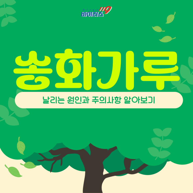  송화가루 날리는 원인과 주의사항 알아보기