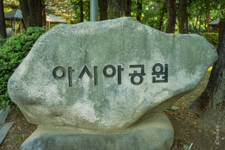  ::서른여섯 번째 공원:: 잔디광장이 좋은 종합운동장 건너에 있는 곳 '아시아공원'