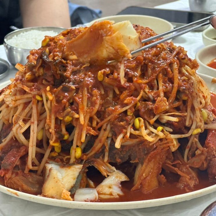  강릉 여행 어릴 적 추억의 맛집 강릉 성산 옛카나리아 본점 대구머리찜 중 3인분 공기밥 리뷰.