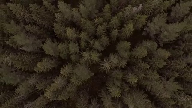  학점은행사회복지자격증 사회복지사 비전공자도 독학으로 빠르게