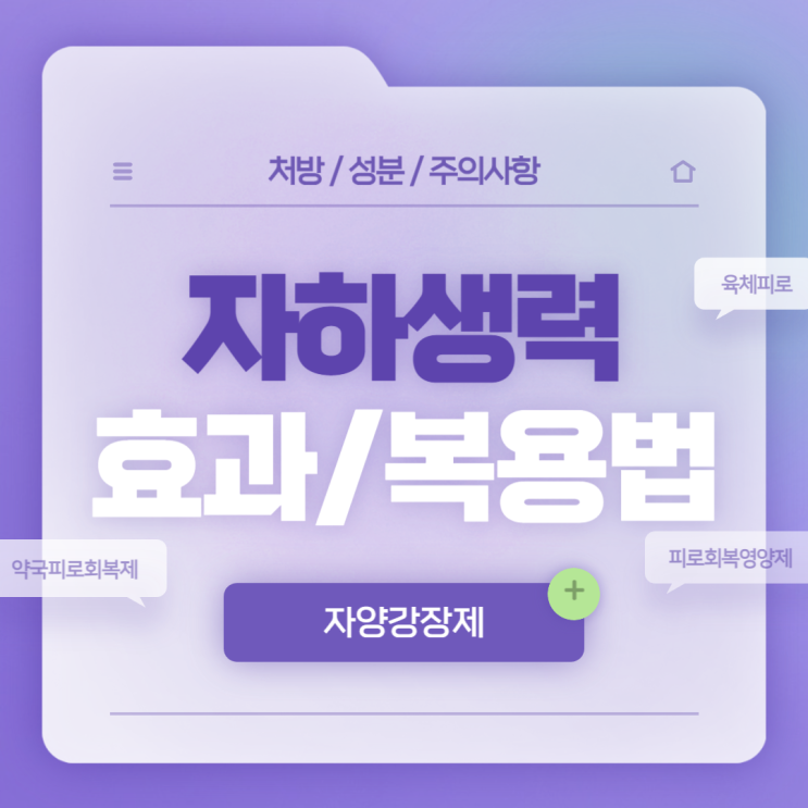  자양강장제 : 자하생력 효과 및 복용법 【#약국피로회복제 #육체피로 #피로회복영양제】
