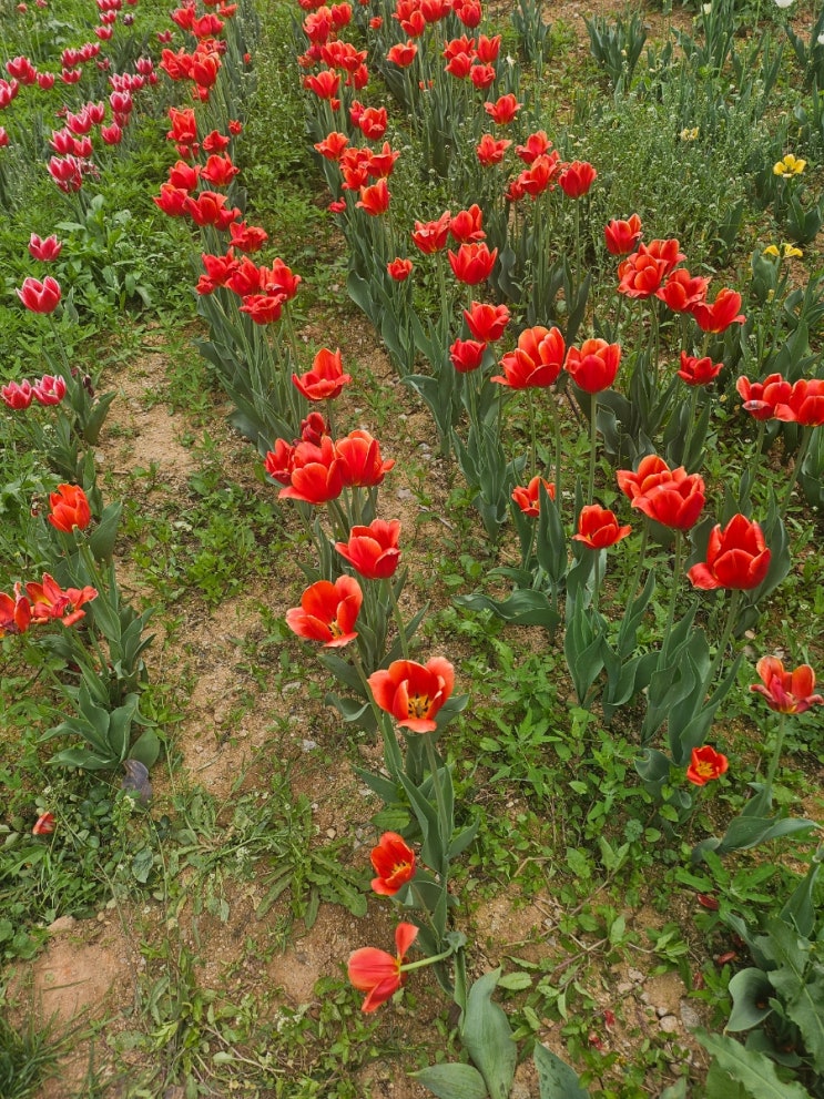  세무기장, 기장대리, 세무사의 중요성 - 세무상담 사례