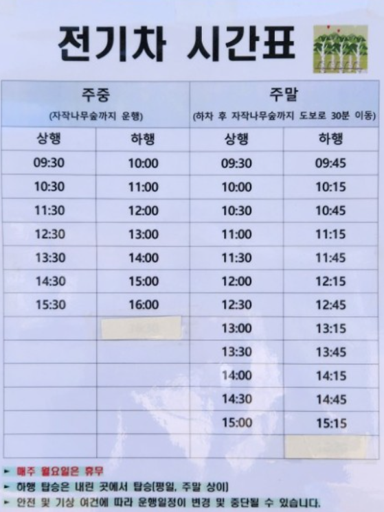  영양 자작나무 숲 2024년 최근 전기차 시간표