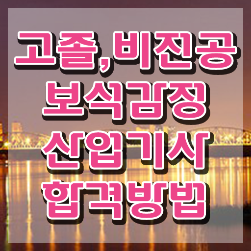  보석감정산업기사 시험 보석감정산업기사 자격요건 집에서 온라인으로 단기간에 준비한 비법
