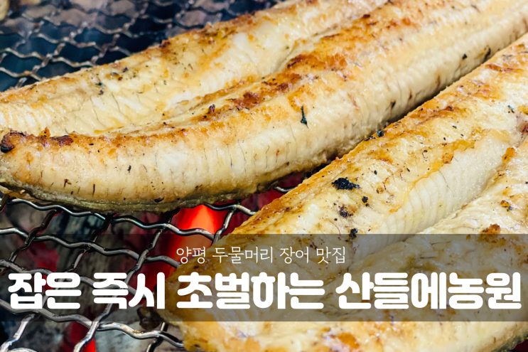  [양평 여행] 양평 두물머리 맛집, 직접 골라 바로 잡아 초벌하는 민물장어 맛집 산들에농원(산들에민물장어)