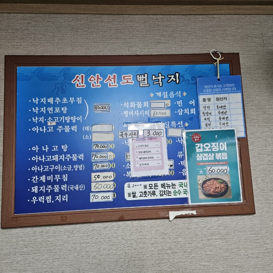 신안선도뻘낙지 사진 5