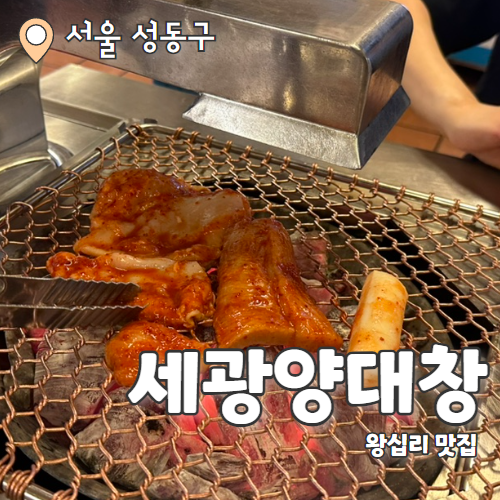 세광양대창 : 왕십리 근본 숯불양념 곱창맛집 내돈내산 후기