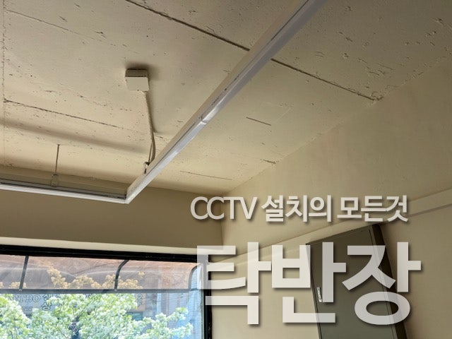 일면지연 사진 2