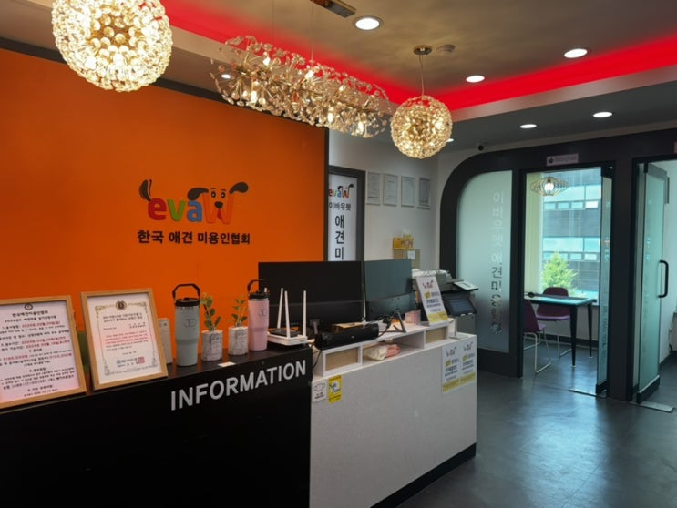  이바우펫 애견미용학원 국비 자격증 취득 어렵다면 장학반(비용,취득기간,전국지점)