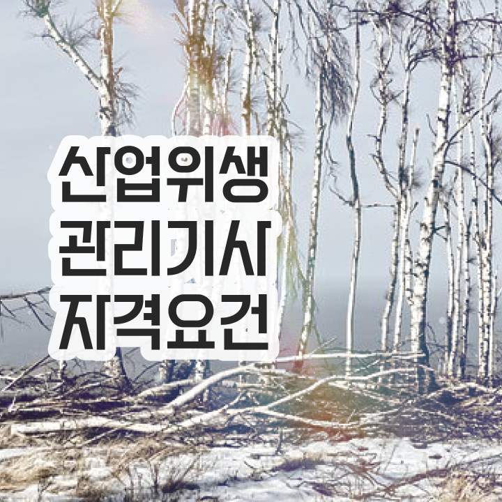  산업위생관리기사간호사 산업위생관리기사 응시조건 인강만 듣고 15주만에 끝낸 방법